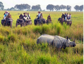 Kaziranga National Park, Assam, a World Heritage Site