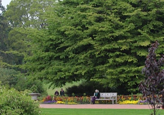 The Royal Horticultural Society's garden at Wisley