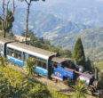 Delightful Darjeeling  – Part 2