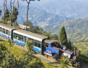 Delightful Darjeeling  – Part 2