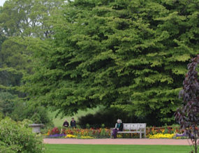 The Royal Horticultural Society's garden at Wisley