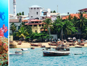 Contrasting Colors of Zanzibar